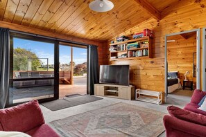 Smart TV, fireplace, books