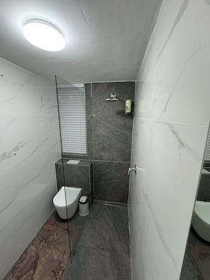 Regadera, secadora de cabello, toallas, papel de baño