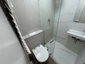 Douche, sèche-cheveux, serviettes fournies, papier toilette