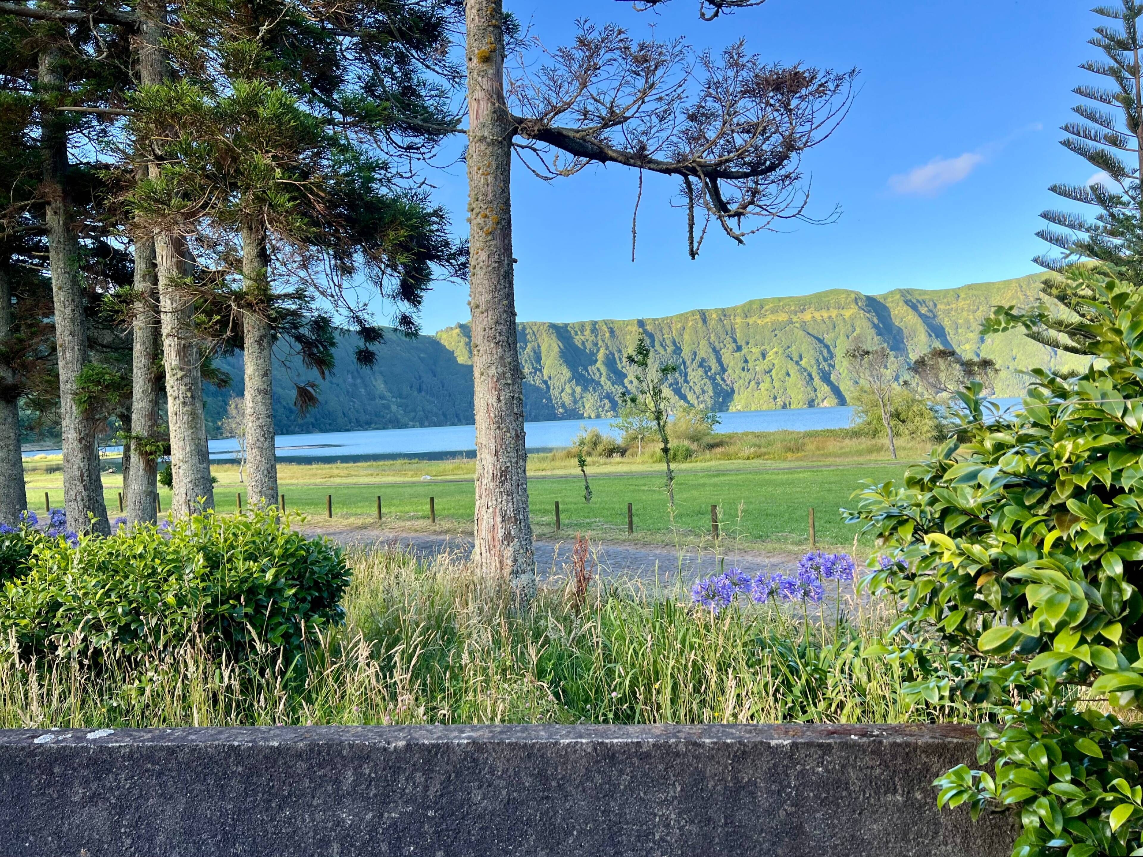 A scenic view of a lake surrounded by trees and hills.