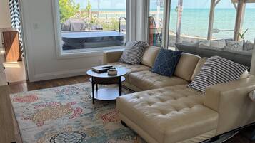 Smart TV, fireplace, books