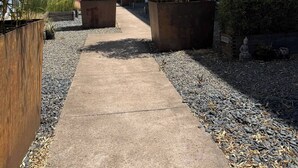 A pathway flanked by large planters with bamboo plants, leading to a modern building with large windows and a blue facade. - Jr 1 BR w/ parking & a plunge in Design District (San Francisco)