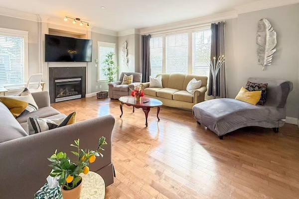 Televisión, chimenea