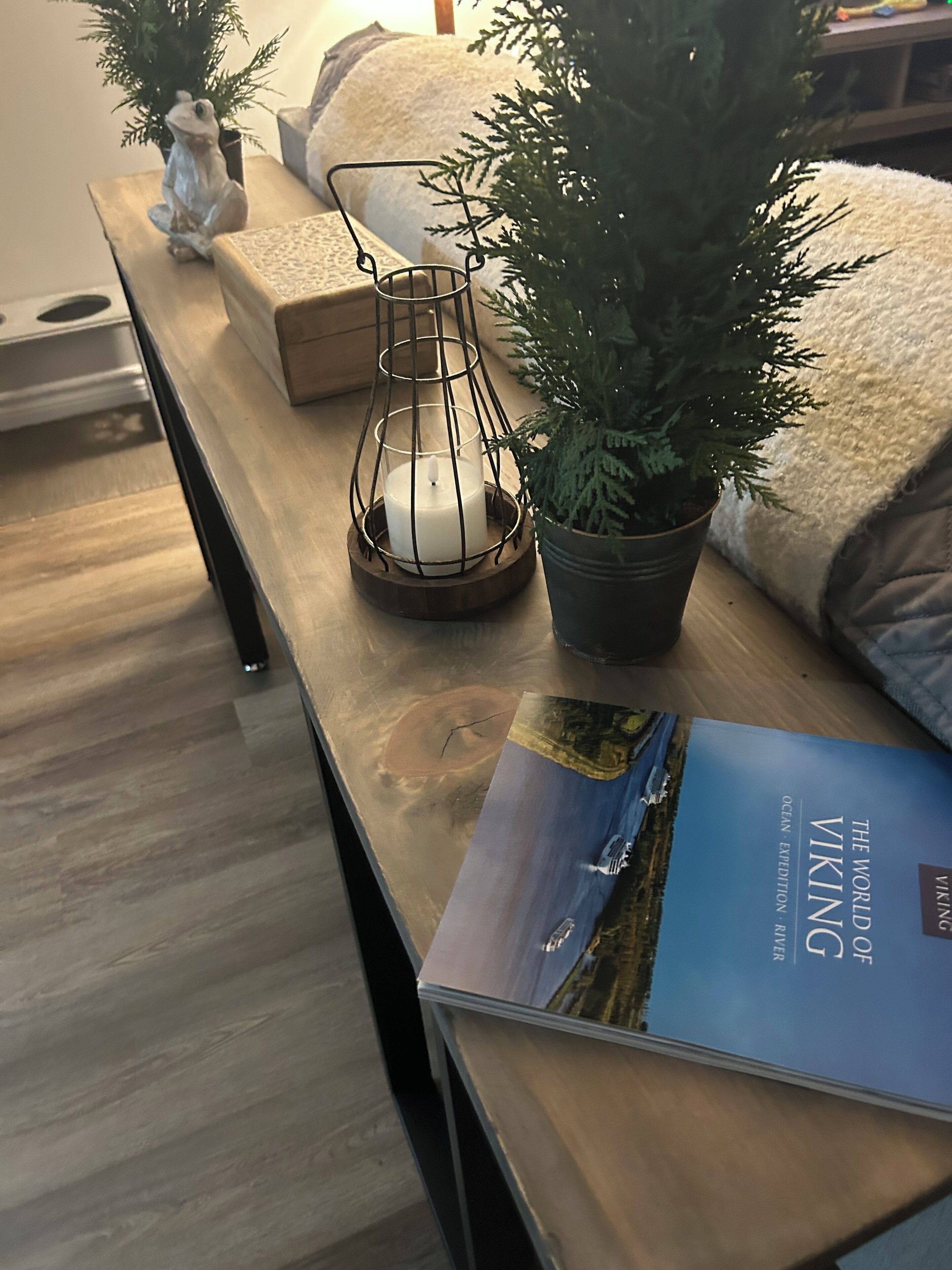 Una mesa de madera con una vela en un soporte de alambre, una planta en maceta y un libro titulado 'The World of Viking'.