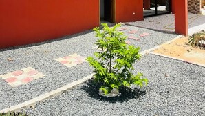 A modern two-story house with a red facade, large windows, and a small garden area with gravel and potted plants. - Authentic stay at Villa Noflaye du Lac Rose! (Deni Biram Ndao)