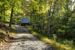 Une cabane entourée d’une forêt, avec un chemin de gravier menant à celle-ci.