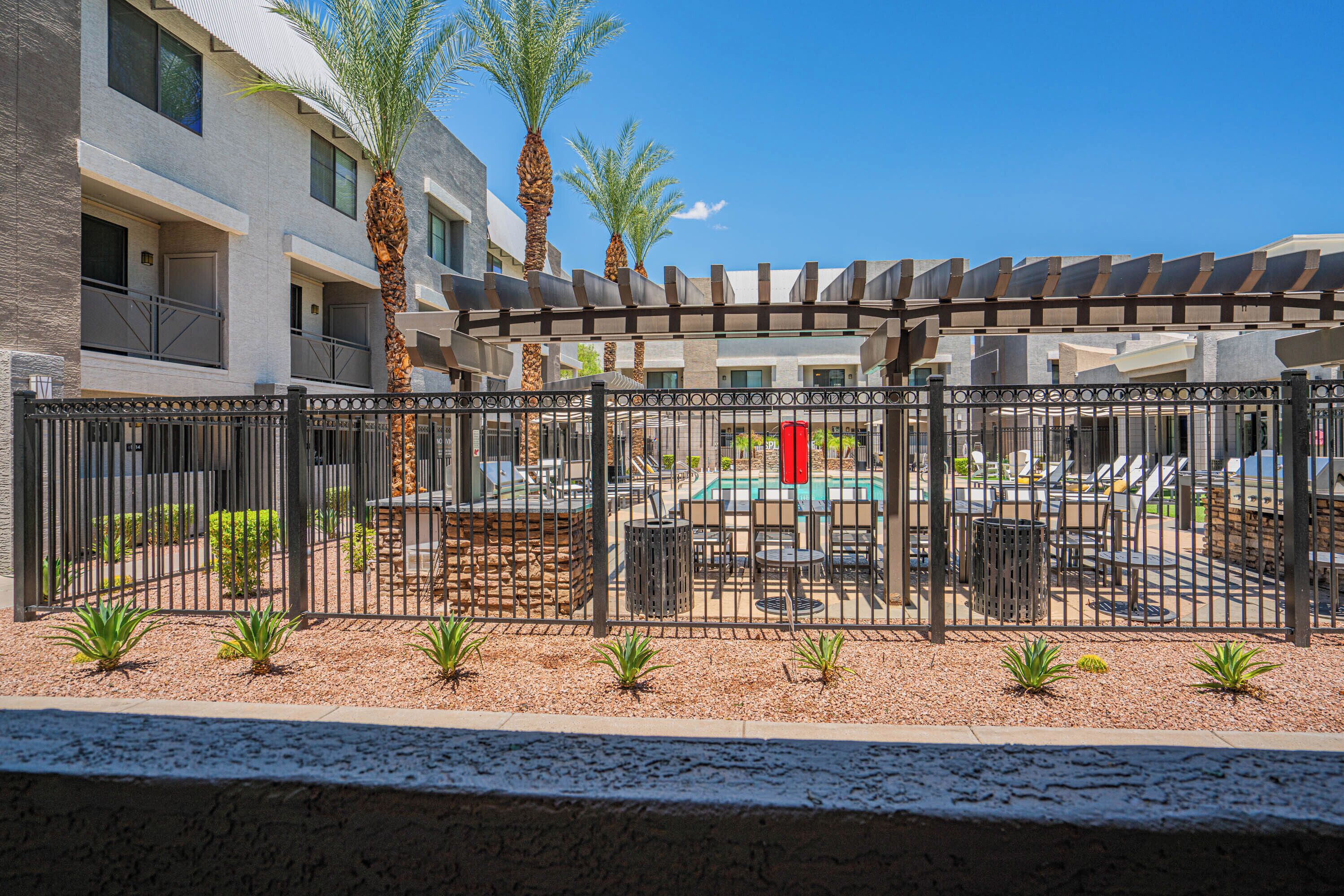 A pool area with lounge chairs and a pergola, surrounded by a fence and palm trees.