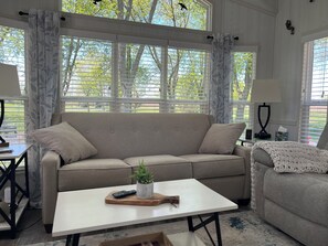 Smart TV, fireplace, video games, books