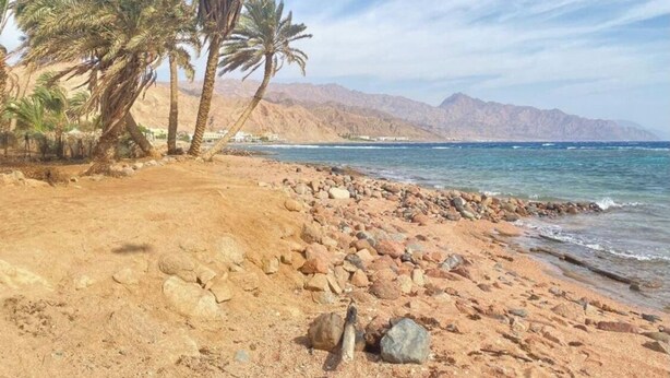Una playa con palmeras y terreno rocoso.