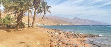 Playa