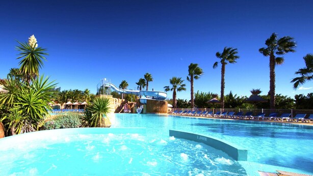 Une piscine avec un toboggan, des palmiers et des chaises longues.