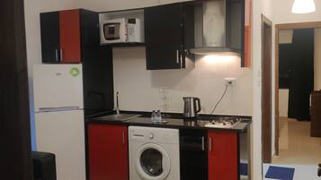 Apartment, 1 Bedroom, Accessible, Smoking | Laundry