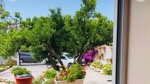 Un balcone con piante in vaso e vista su una strada con auto parcheggiate e un cancello.