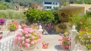 Un balcone con piante in vaso e vista su una collina.