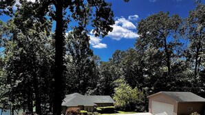 A residential area with houses, a driveway, and a well-maintained lawn.