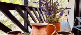 Spacious Luxury 4 Suites / 8BED / 7BA in Central Louisville With Private Garden