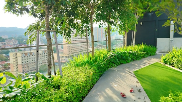 A landscaped outdoor area with a pathway, green plants, and a view of a cityscape.