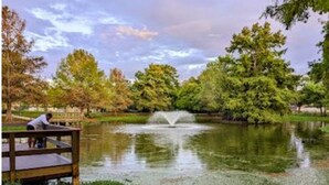 Un parque con una fuente, un banco de madera y árboles.
