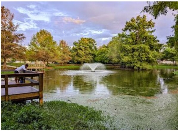 A park with a fountain, a wooden bench, and trees.
