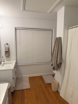Jetted bath, hair dryer, soap, toilet paper
