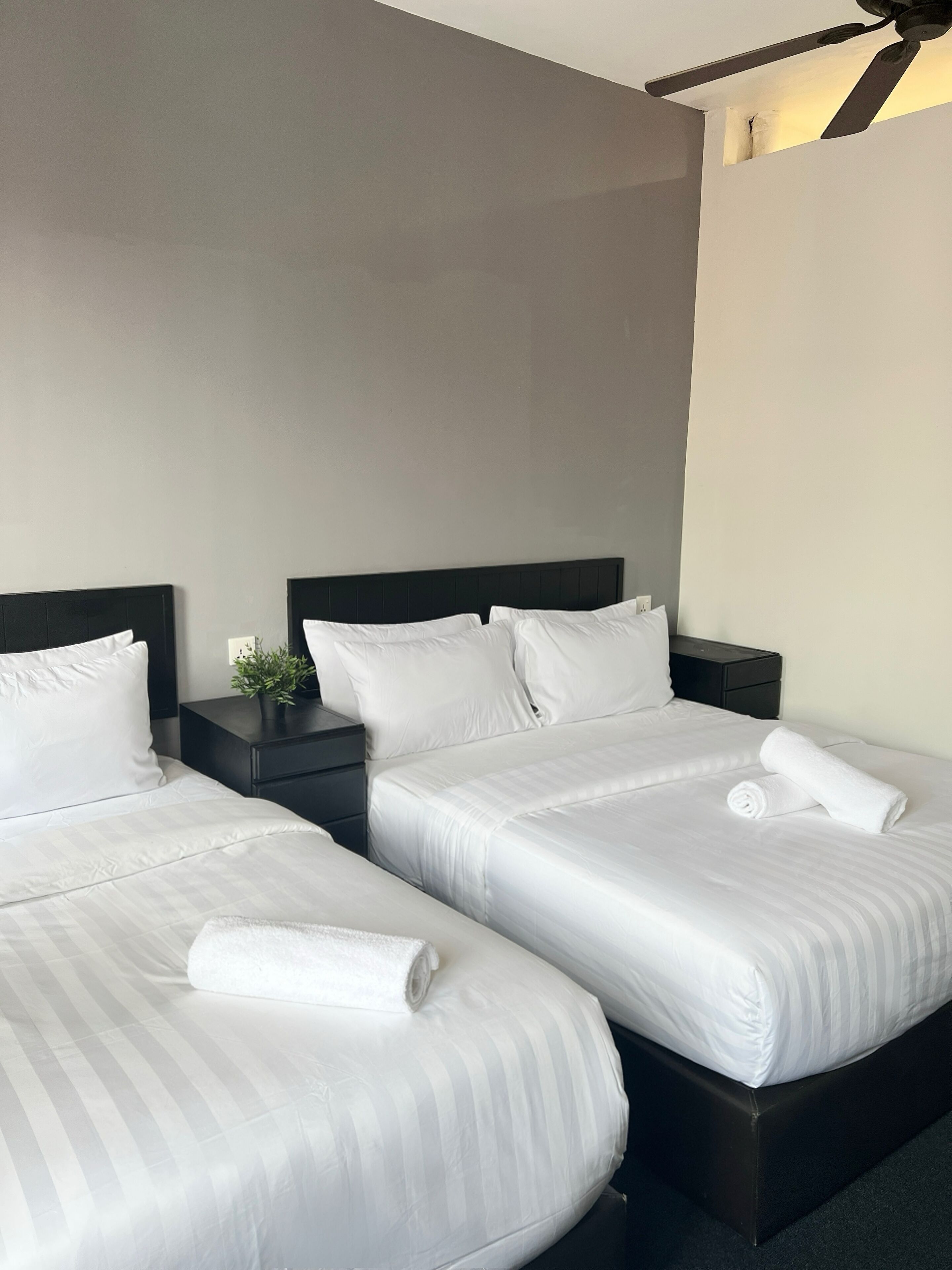 A hotel room with two beds, each with white linens and pillows, a small bedside table with a plant, and a ceiling fan.