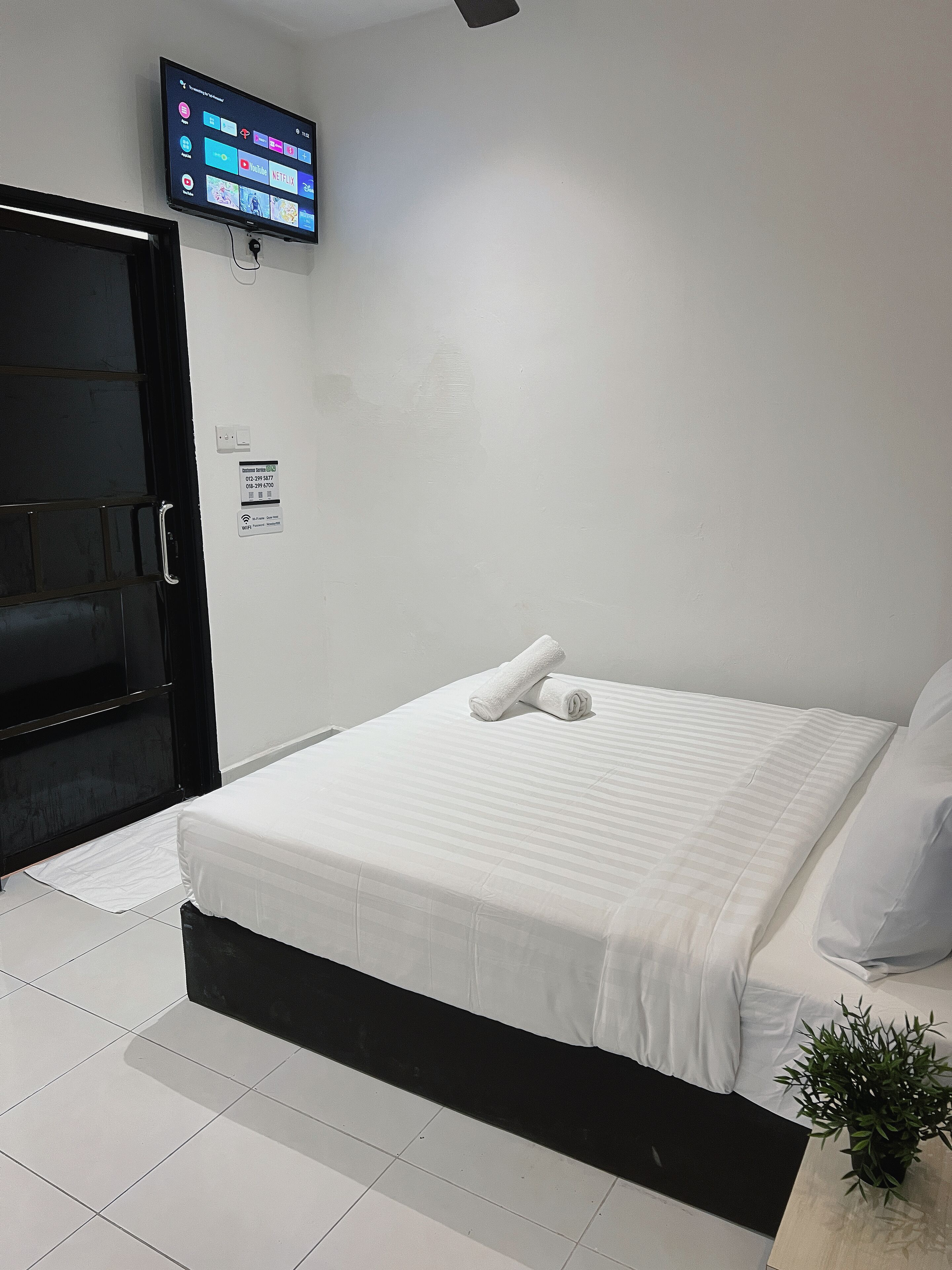 A hotel room with a bed, a TV mounted on the wall, a door, and a small plant.