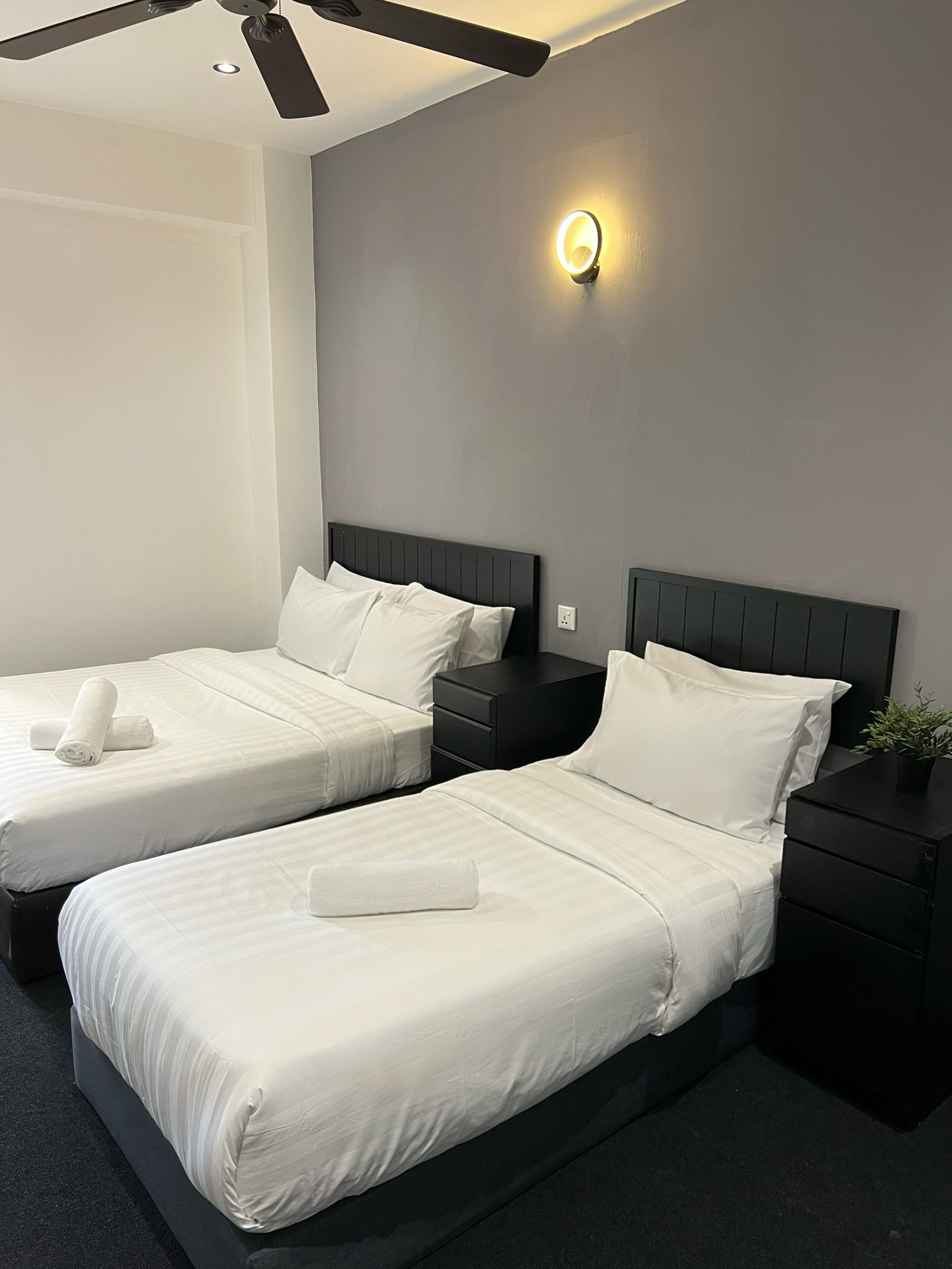 A hotel room with two beds, a ceiling fan, a wall-mounted light, and a small plant on the nightstand.