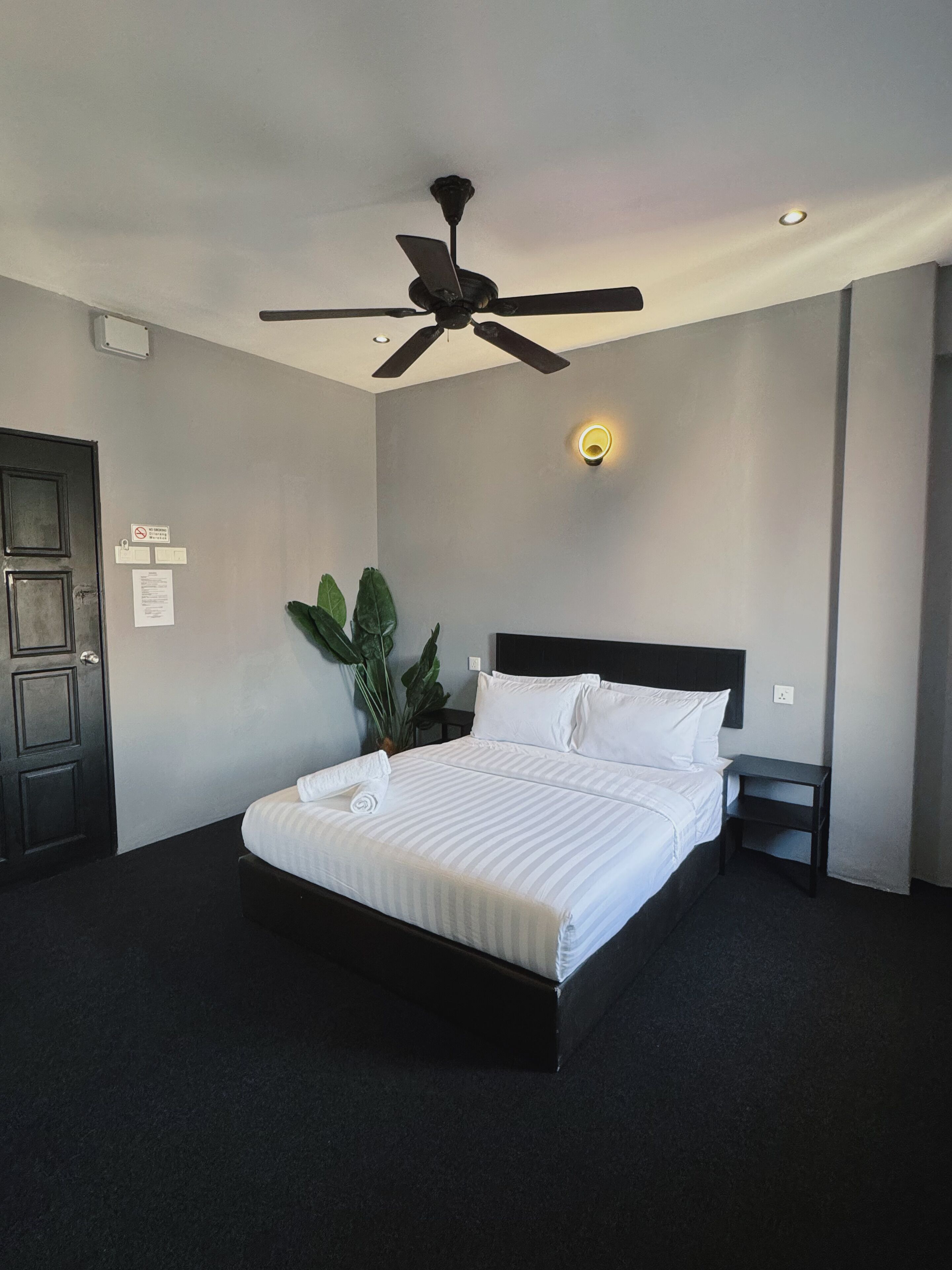 A neatly made bed with white linens, a ceiling fan, a bedside table, and a potted plant.