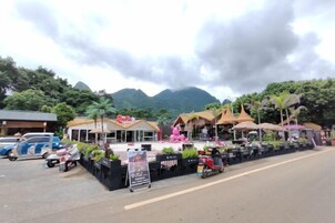 Vista desde la propiedad