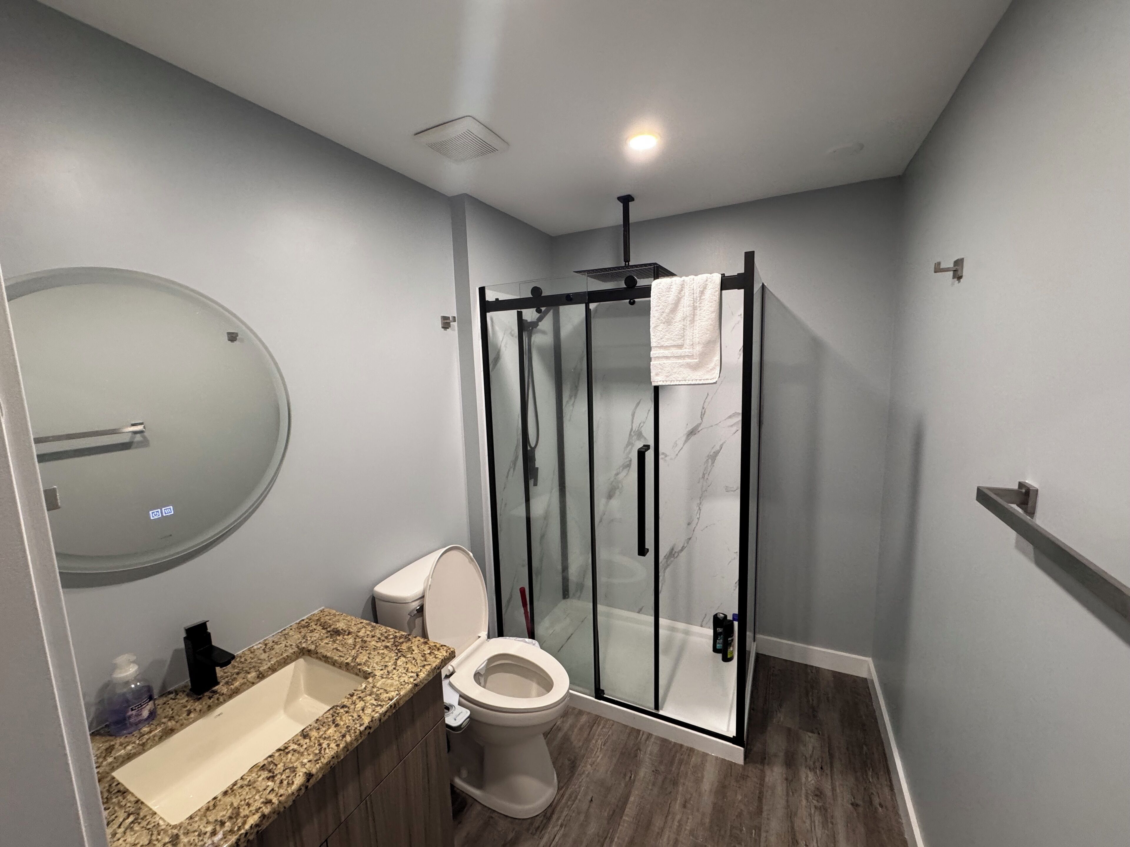Shower, hair dryer, bidet, towels