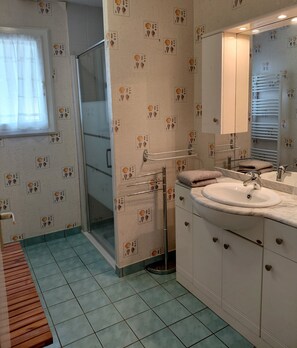 Shower, hair dryer, soap, shampoo - House Des 3 filles in cantal 15700 (Ally)