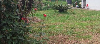 Enchanting 2-bedroom farmhouse in Nagri. Situated in Dhauladhar mountain range.