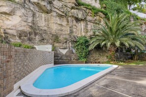 A swimming pool with a brick wall and a palm tree.