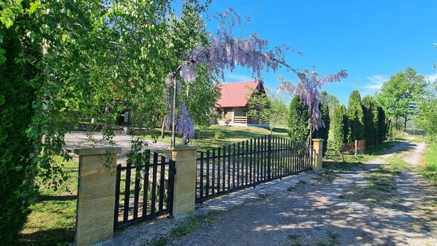 Un sendero de grava conduce a una cabaña de madera con techo rojo, rodeada de abundante vegetación y árboles con flores moradas.