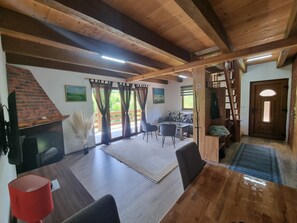 Smart TV, fireplace, books