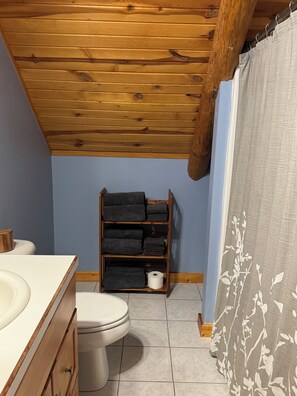 Hair dryer, towels, soap, toilet paper
