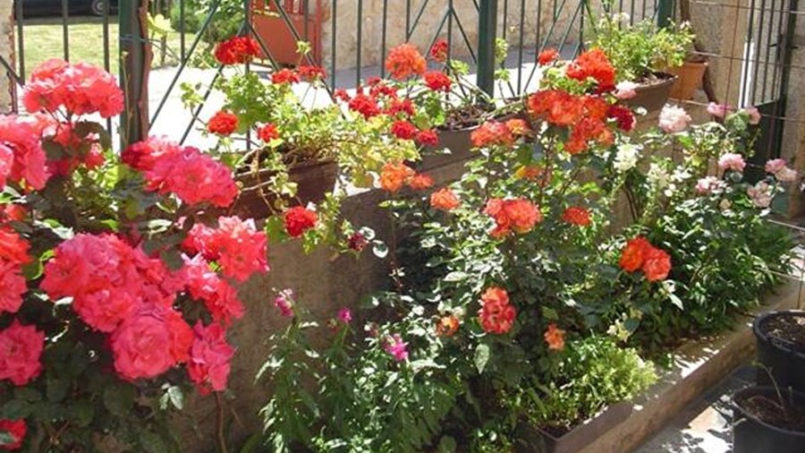 Apartments A&N Pakoštane