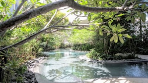 Ein friedliches Schwimmbecken-Areal, umgeben von üppiger Vegetation und Bäumen.