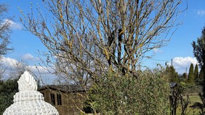 Une statue de Bouddha dans un jardin, avec un ciel dégagé.