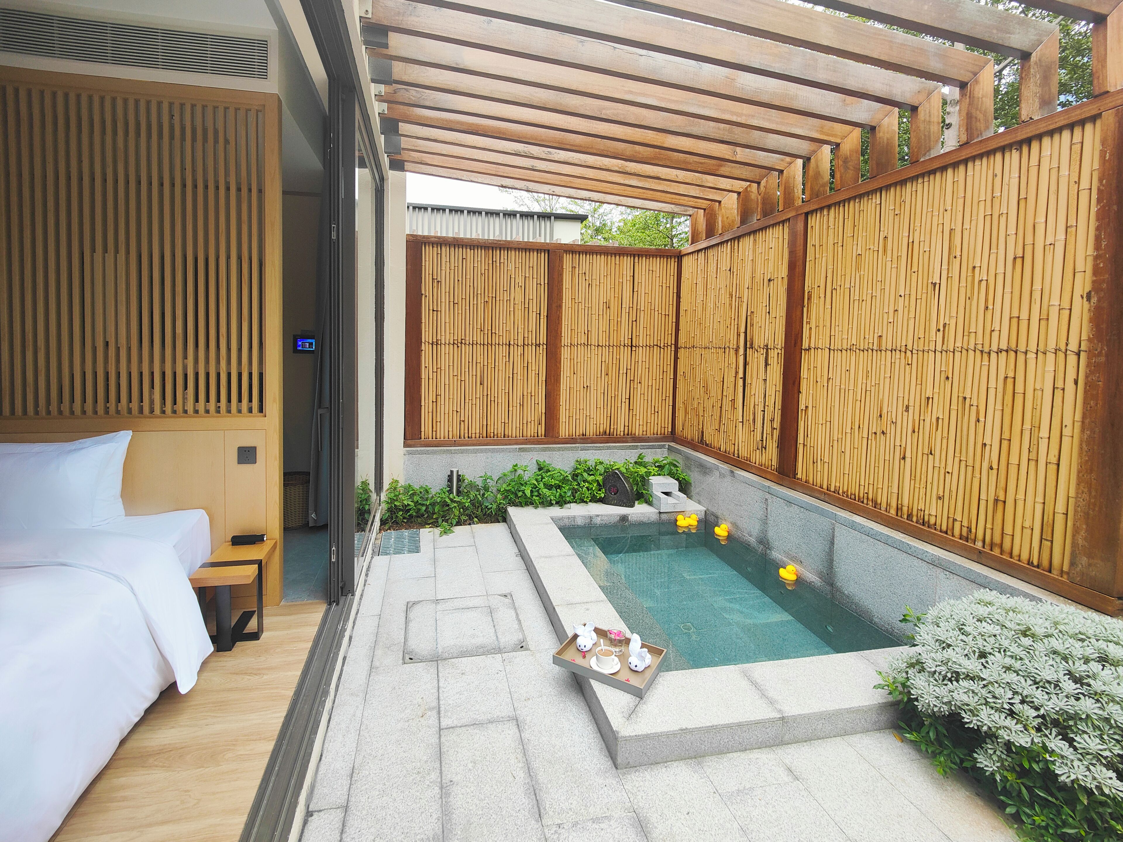 A modern hotel room with a private outdoor pool, bamboo privacy screens, and a small garden area.