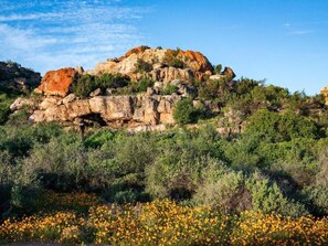 Land view from property