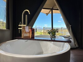 Separate tub and shower, free toiletries, hair dryer, bathrobes