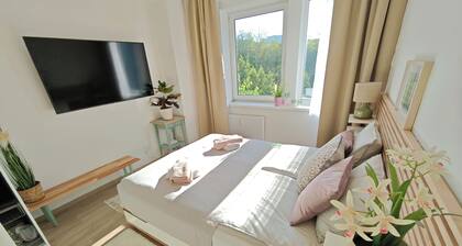 Studio with AC and fitness room in charming Prague
