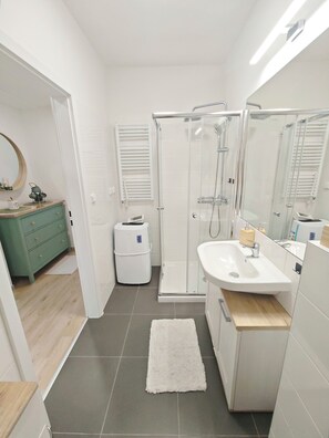 Shower, hair dryer, towels, soap