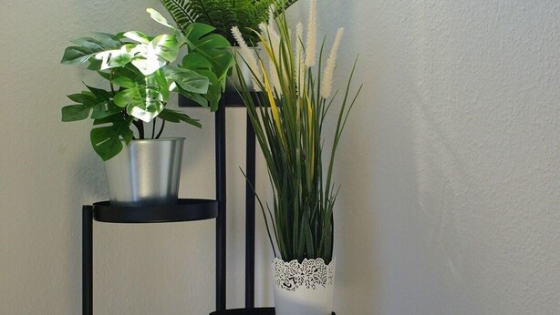 A corner with two black metal stands, each holding a potted plant.