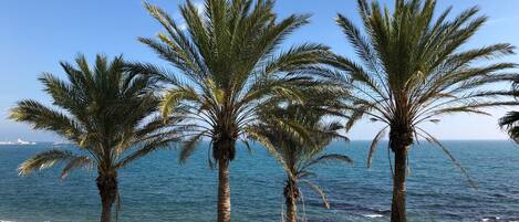 Playa en los alrededores