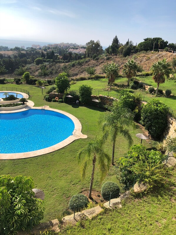 A large, circular swimming pool with a stone deck, surrounded by well-maintained grass and palm trees.