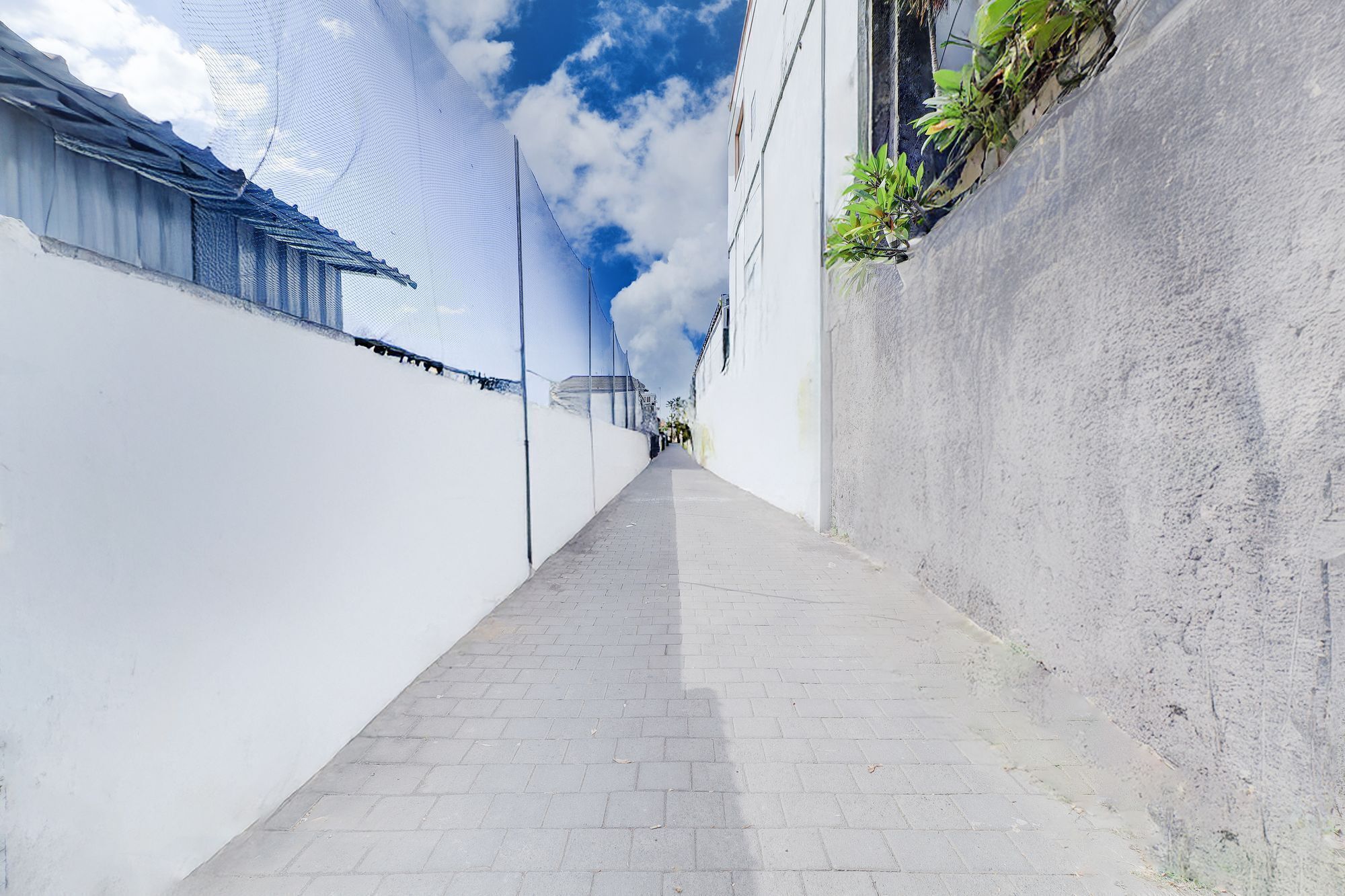 A narrow alleyway with a paved path, flanked by white walls and a blue mesh fence on one side.