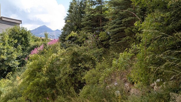 Eine steinerne Stützmauer mit dichter Vegetation und Bäumen im Hintergrund.