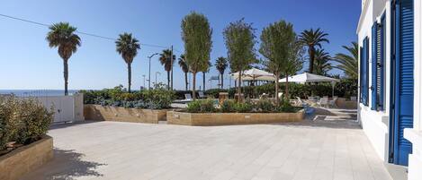 Terras
